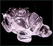 Crystal Tortoise