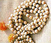 astrology Job Prospects