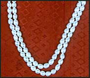 astrology Education Report